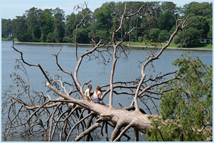 First Landing State Park